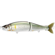Load image into Gallery viewer, Gan Craft Jointed Claw 230 Magnum Swimbait