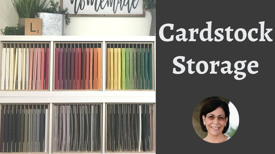 The Best Ikea Kallax Hack with Helpful Cardstock Storage by Lisa Curcio Lisa's Stamp Studio (2 years ago)