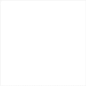 American Crafts Specialty Vellum Sheet 12"X12"-Clear