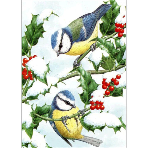 Diamond Painting - Full Round - Birds