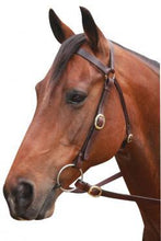 Load image into Gallery viewer, Barcoo Brass Bridle Showcraft Brown