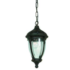 Anapolis 19"h Oil Rubbed Bronze Outdoor Ceiling Light
