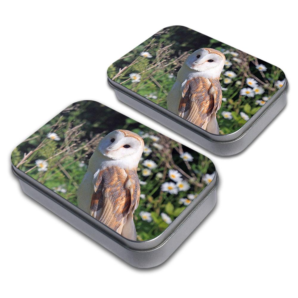 Barn Owl Decorative Craft Trinket Metal Tin Box Set of 2