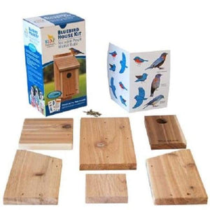 Classic Bluebird House DIY Craft Kit