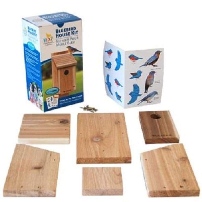 Classic Bluebird House DIY Craft Kit