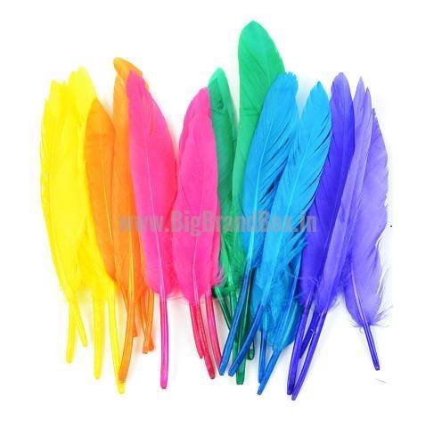 Beautiful Feathers For Craft