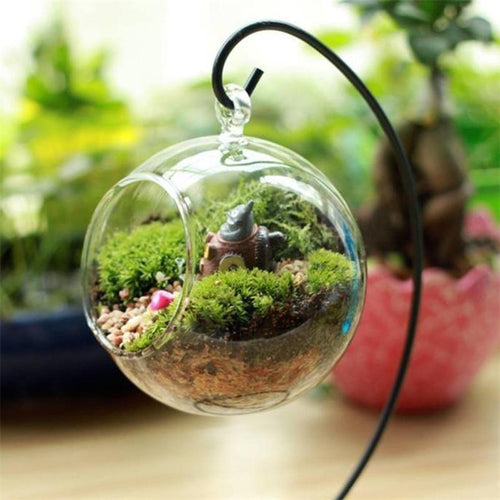 Diameter 8cm Hanging Glass Vase Flowers Plant Table Vase Stand Holder Terrarium Container Handmade craft Gift Wedding Decor Vase