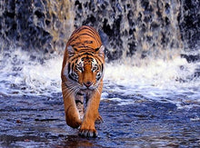Load image into Gallery viewer, Diamond Painting,5D,DIY,Embroidery,Full,Square,Tiger Ornament,Diamond Mosaic,Wall Painting,Arts,Crafts&amp;Sewing,Needlework,Crpsen